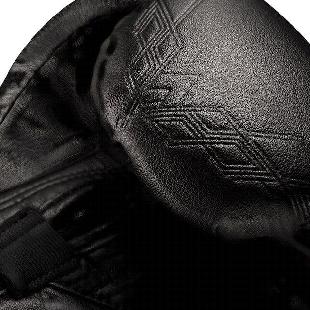 Hayabusa Marvel's Black Panther Boxing Gloves