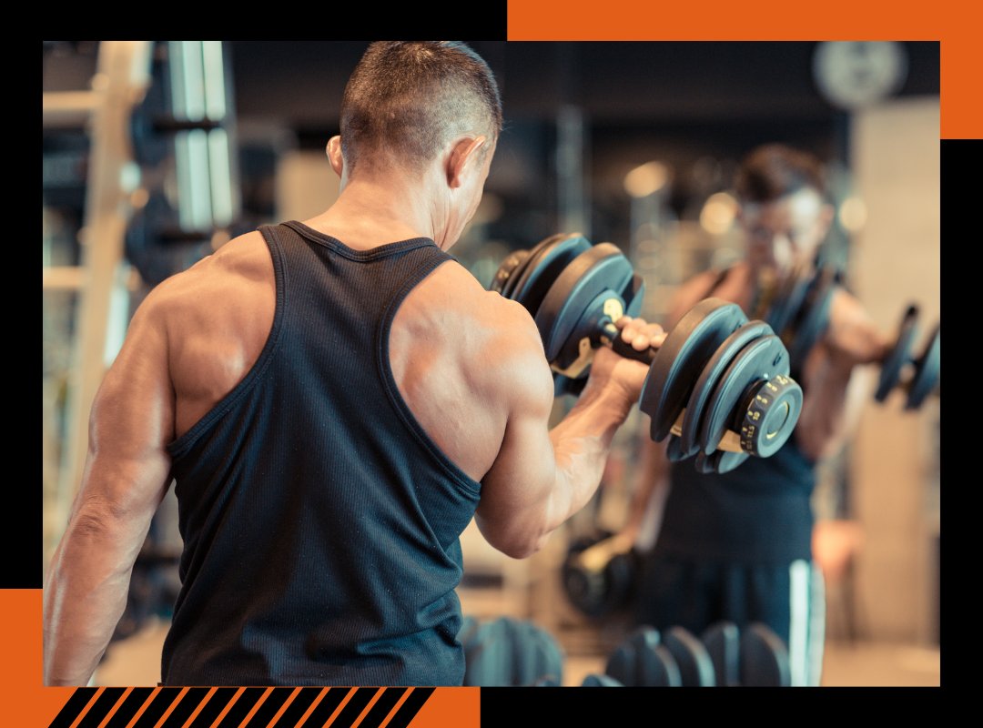 Fitness Equipment